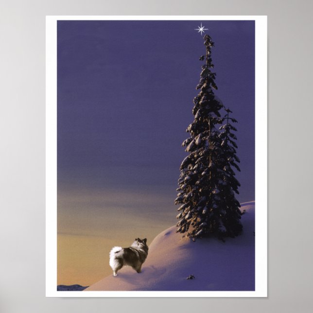 "A Árvore de Natal" Keeshond poster (Frente)