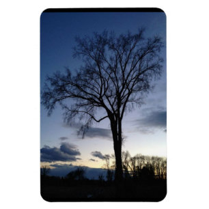 A árvore no ímã crepuscular