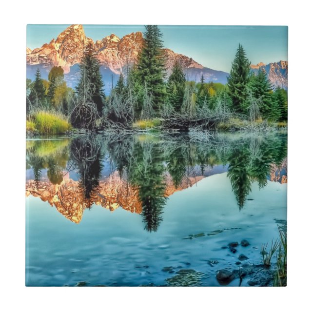 A aterragem de Schwabacher e a lagoa do castor (Frente)