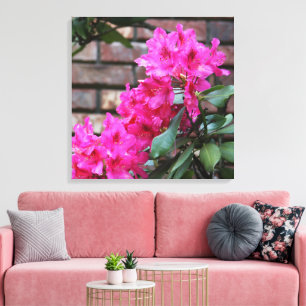 A azálea cor-de-rosa floresce canvas