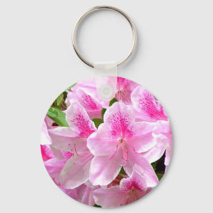 A azálea floresce chaveiro
