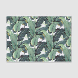 A banana sae palma do lenço de papel 10lb tropical