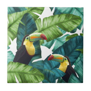 A banana tropical de Toucans sae do teste padrão