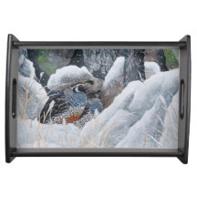 A bandeja do Casal Cozy