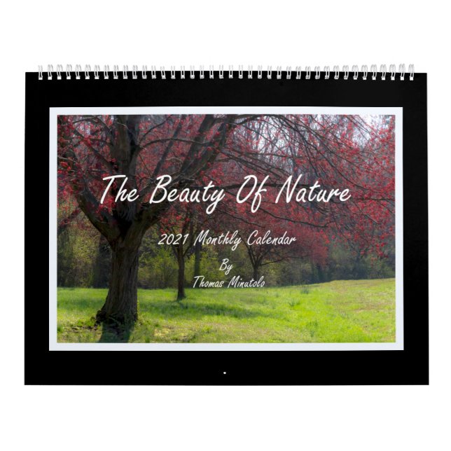 A Beleza Do Calendário 2021 (Capa)
