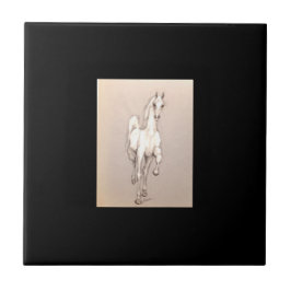 A Beleza do Poder. . .