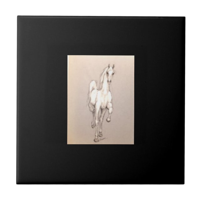 A Beleza do Poder. . . (Frente)