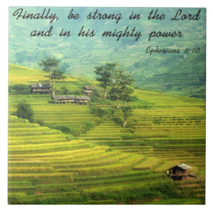 A bíblia cristã legal cita provérbios inspirado