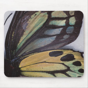 A borboleta voa Mousepad