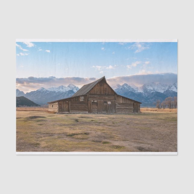 A cabine está tirando seu papel de tecido do chapé (Frente )