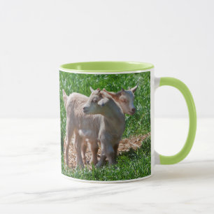 A cabra do pigmeu caçoa a caneca