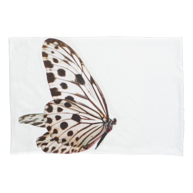 A caixa do travesseiro da aterragem (Frente-Esquerda)