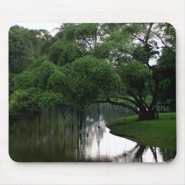 A calma molha Mousepad (Frente)
