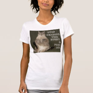 A CAMISA da LEITURA da PARADA do gato &