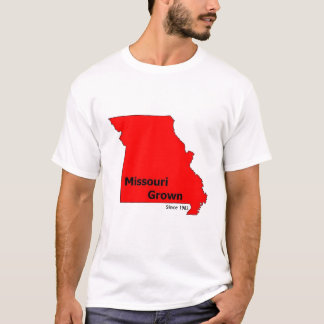 A camisa de Brendan