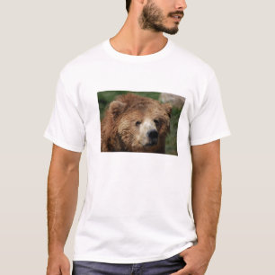 A camisa dos homens do urso de Brown do Kodiak