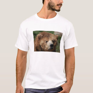 A camisa dos homens do urso de Brown do Kodiak