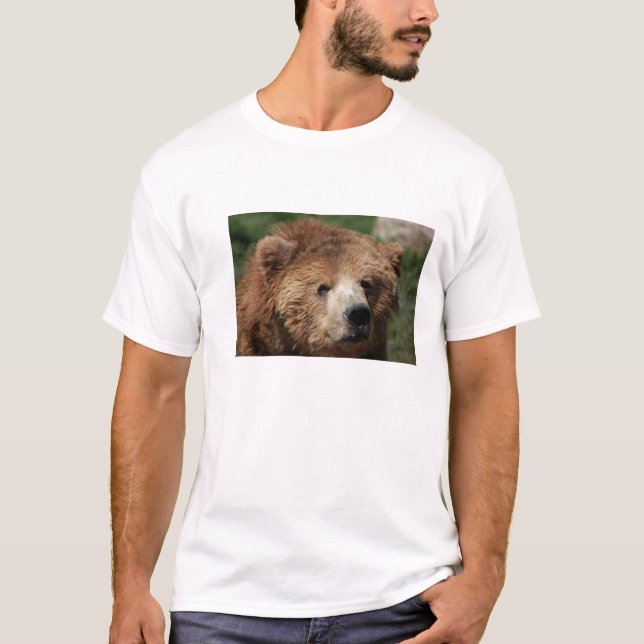 A camisa dos homens do urso de Brown do Kodiak (Frente)