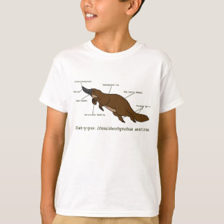 A camisa surpreendente de Platypus