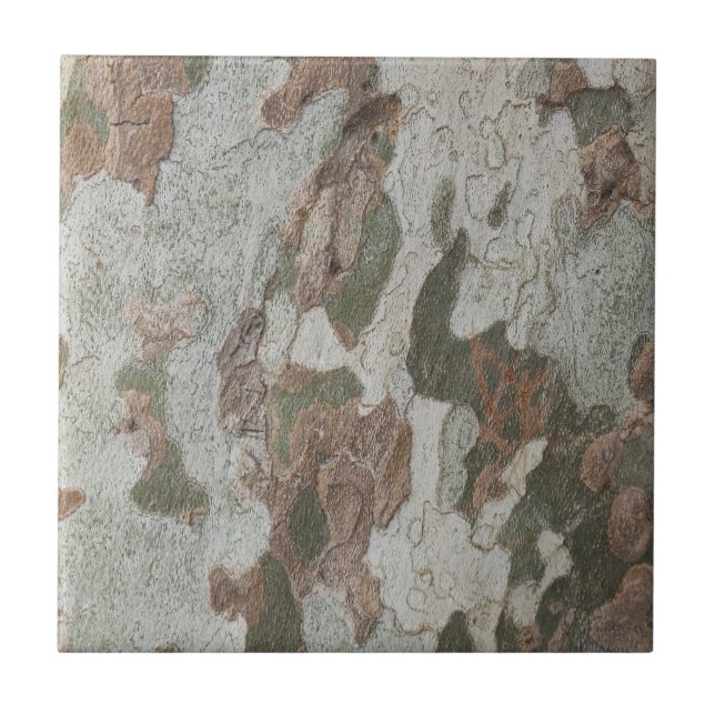 A camuflagem da árvore planificada parece um padrã (Frente)