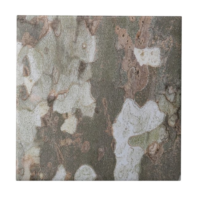 A camuflagem de árvores planas parece padrão de la (Frente)
