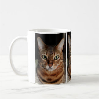 A caneca da foto do gato olhar fixamente Bengal,