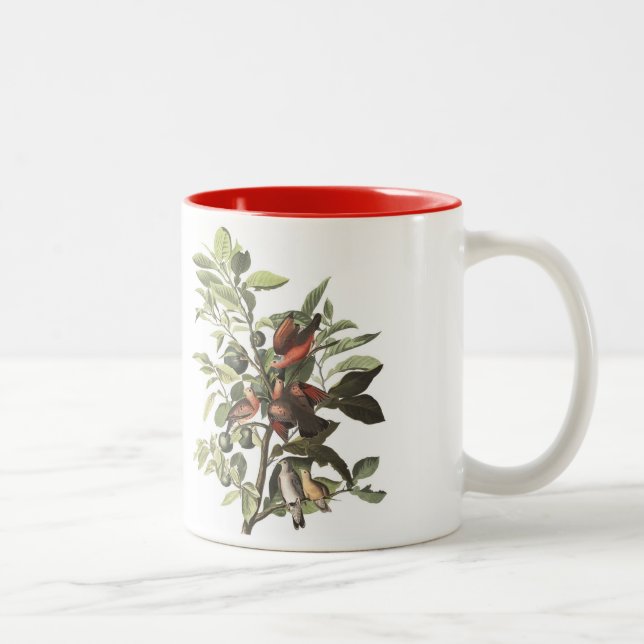 A caneca do pássaro de Audubon, terra mergulhou, (Direita)