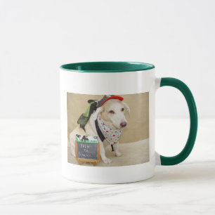 A caneca do professor