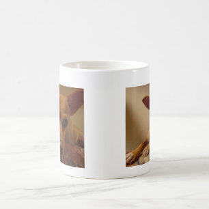 A caneca II de Bubba