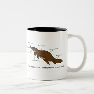 A caneca surpreendente de Platypus