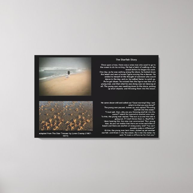 A Canvas da estória de Starfish (Frente)