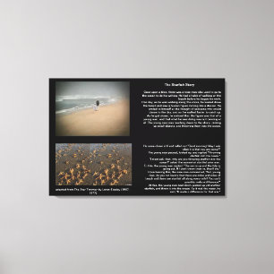 A Canvas da história do Starfish