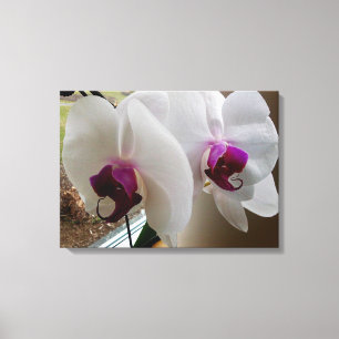 A CANVAS ORCHID BRANCA