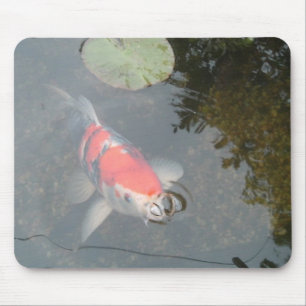 A carpa de Koi fecha acima a vista Mousepad