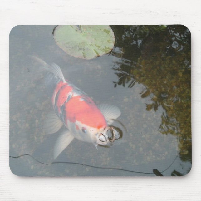 A carpa de Koi fecha acima a vista Mousepad (Frente)