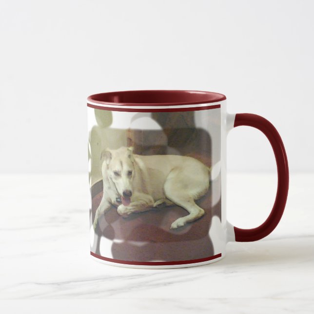 A casa Pets a caneca (Direita)