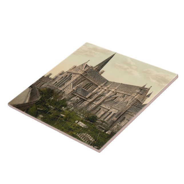 A catedral Dublin Ireland de St Patrick (Lateral)