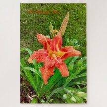 A Chama Sanguínea - Quebra-cabeça De Ember Silenci