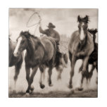 A Chase I<br><div class="desc">Animais</div>