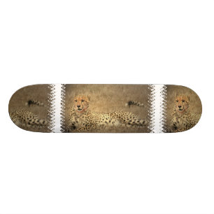 A chita mancha o skate