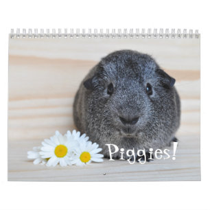 A cobaia fotografa o calendário