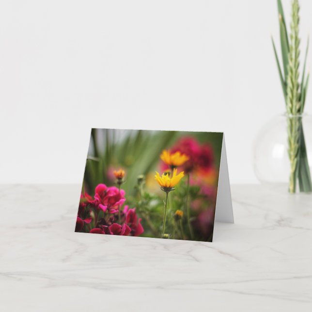 A cor dos cartões de nota de verão (Frente)