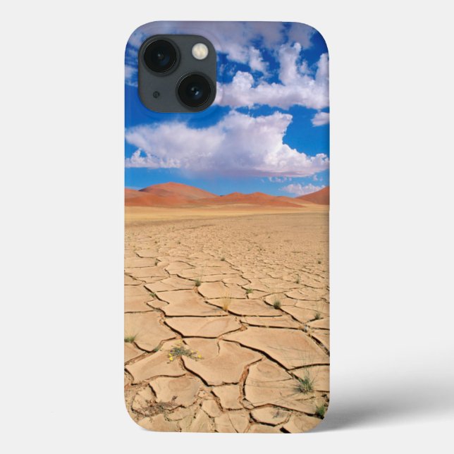 A cracked desert plain (Verso)