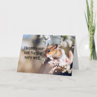 A Criança de Hamster recebe um bom cartão