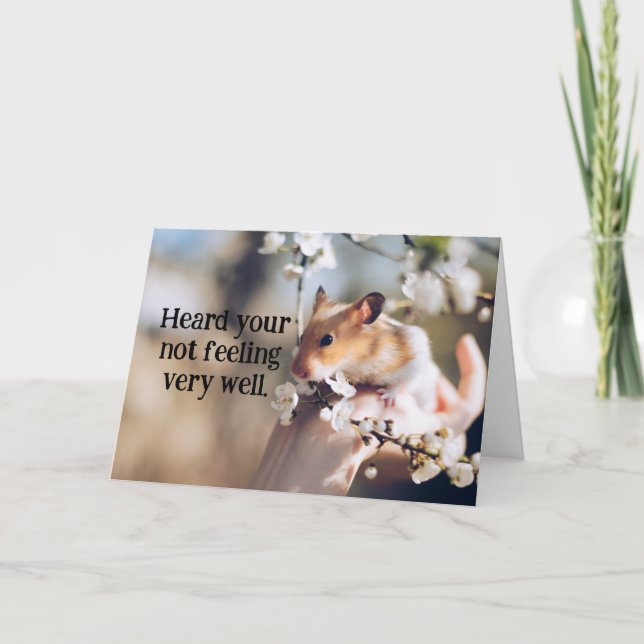 A Criança de Hamster recebe um bom cartão (Frente)