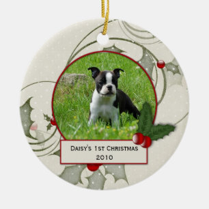 A Enfeites de natal de 1 rua de Puppy