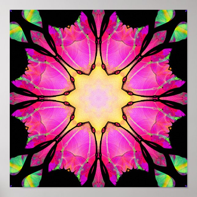 A Estrela (12" x 12") Impressão (Frente)