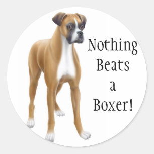 A etiqueta do pugilista