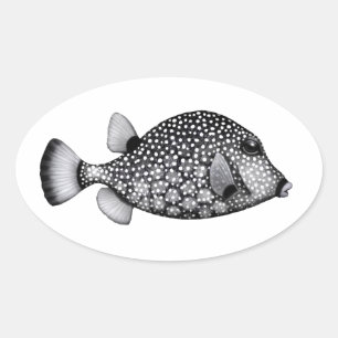 A etiqueta lisa do Trunkfish