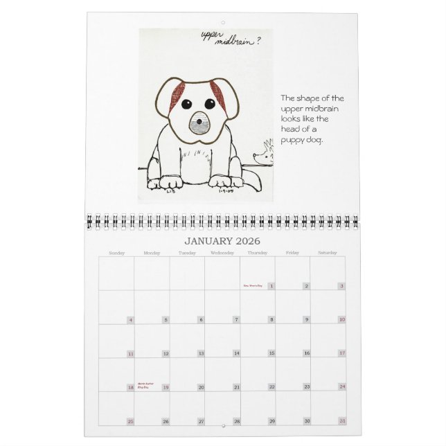 A Faculdade de Medicina esboça o calendário 2007 (Jan 2026)